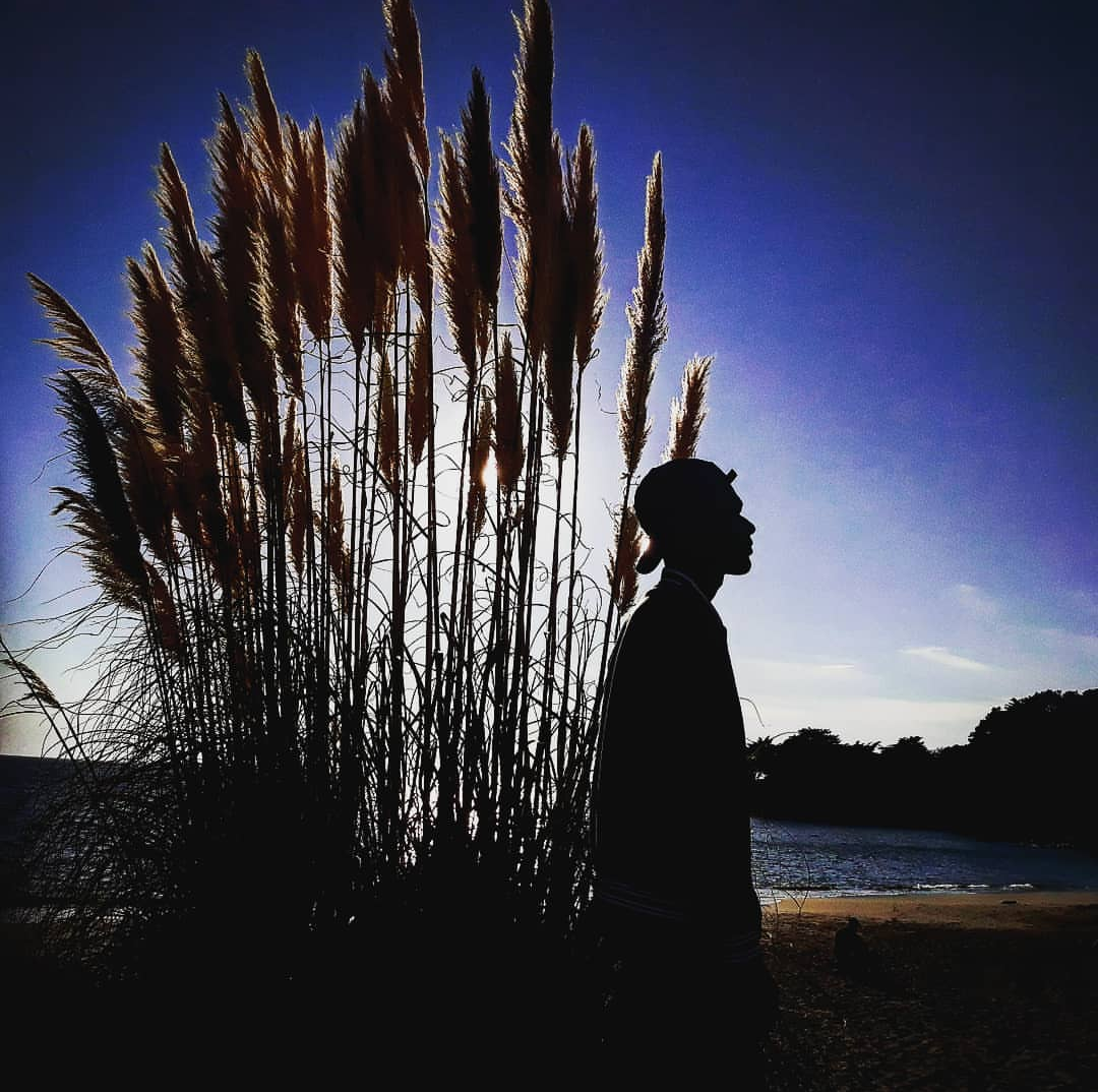 i will promote your product on my youtube